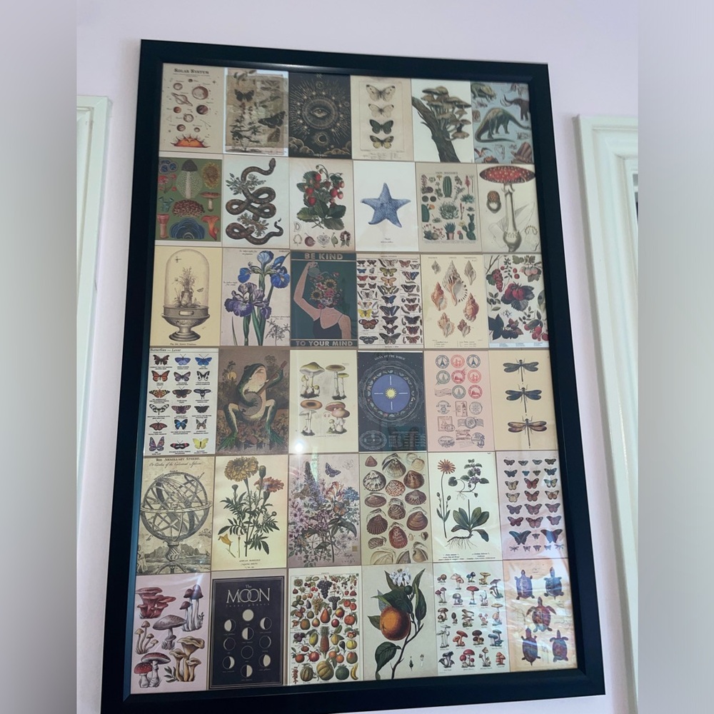 Framed Indie Wall Collage